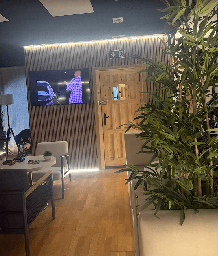 Lush botanical garden with tropical plants